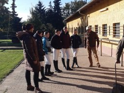 20241012_101848.jpg_compressed