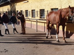 20241012_102005.jpg_compressed