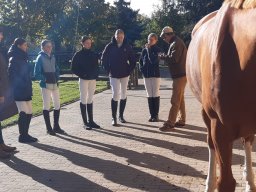 20241012_102048.jpg_compressed