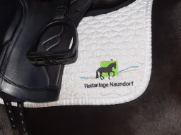 20241012_105011.jpg_compressed